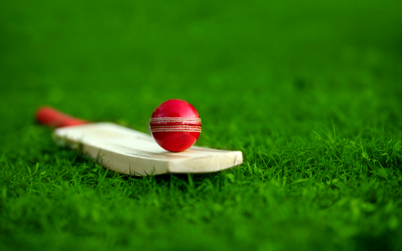 how to bet in cricket online